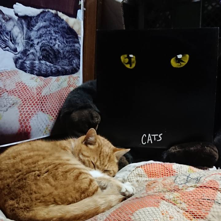 F53a665f a0e6 445d b58a 0bd3d34b24b9 1608638400335