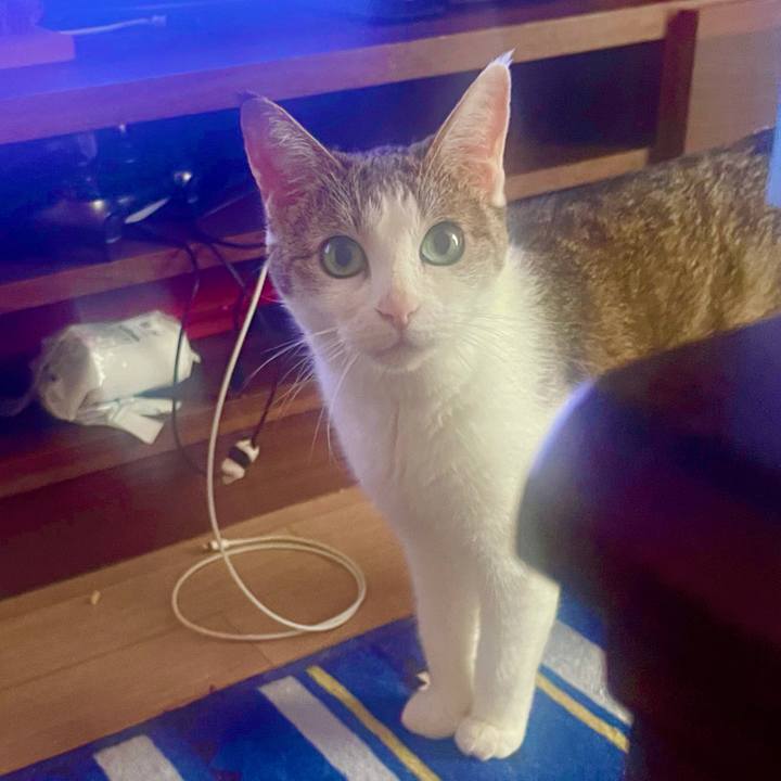 F53a7fdc 8993 4ec0 80c9 ab5ccc0a4959 1628812076847