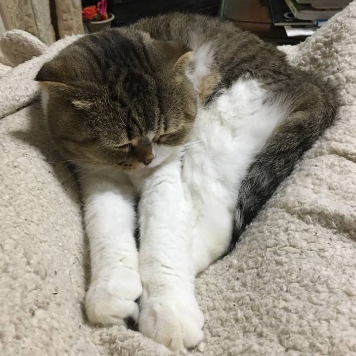 F53a8edb 3233 468e 8414 dd991984282e 1510739397016