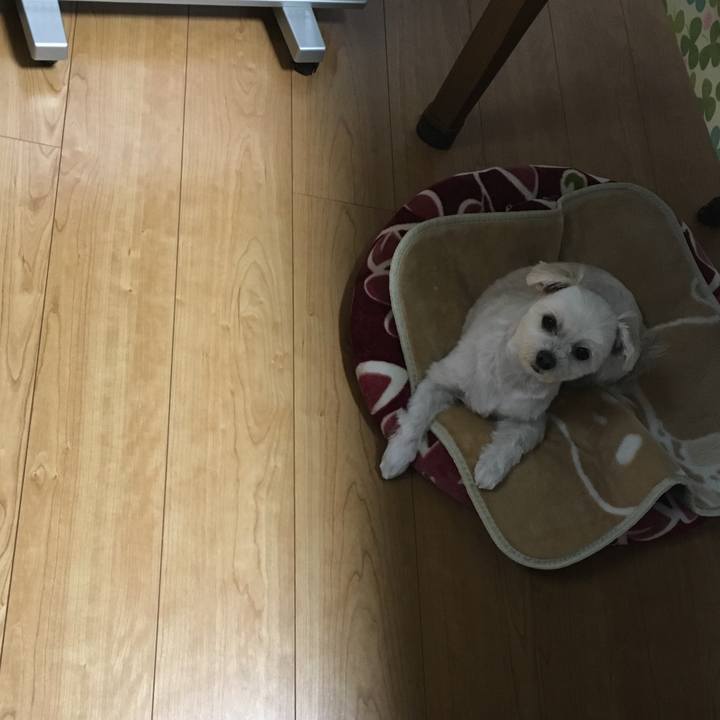 F53ac093 62b5 4162 b4f3 995cee3b869a 1516007683945