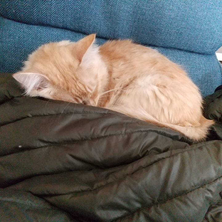 F53acacb b537 4c28 a78a 4cccf238f33e 1643246028474