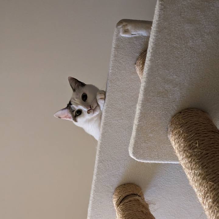 F53acebe 8aaf 40ab 8b07 1773f66b7124 1725588867976