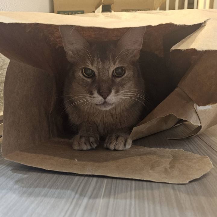 F53ae635 a15b 424f 9502 1b6bb4b26dc1 1760162913669