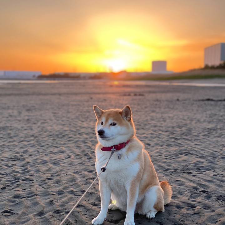 F53b001a 8fe4 49b2 8fa4 21e5bf596727 1618764491007