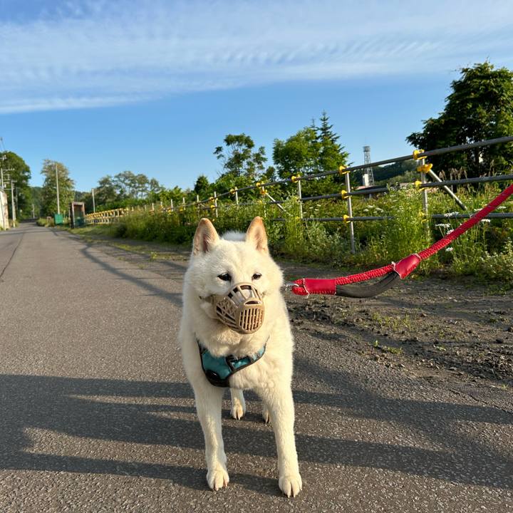 F53b069c 674f 4023 8569 10873e0dc7b7 1750194442624