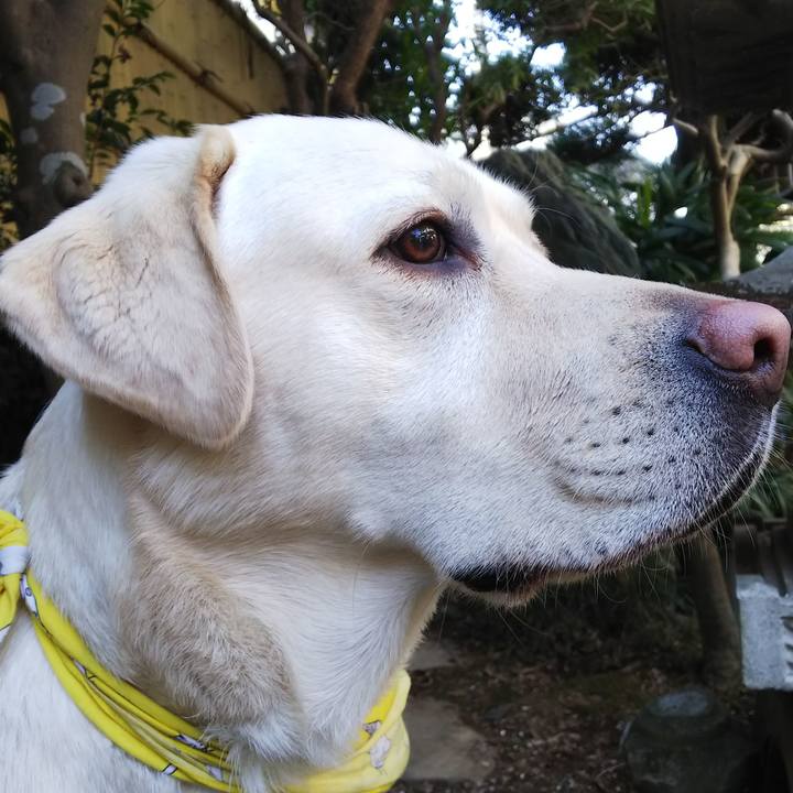 F53b3ab8 fcd3 4c8f 977c 1753e92cb8f0 1518252635272