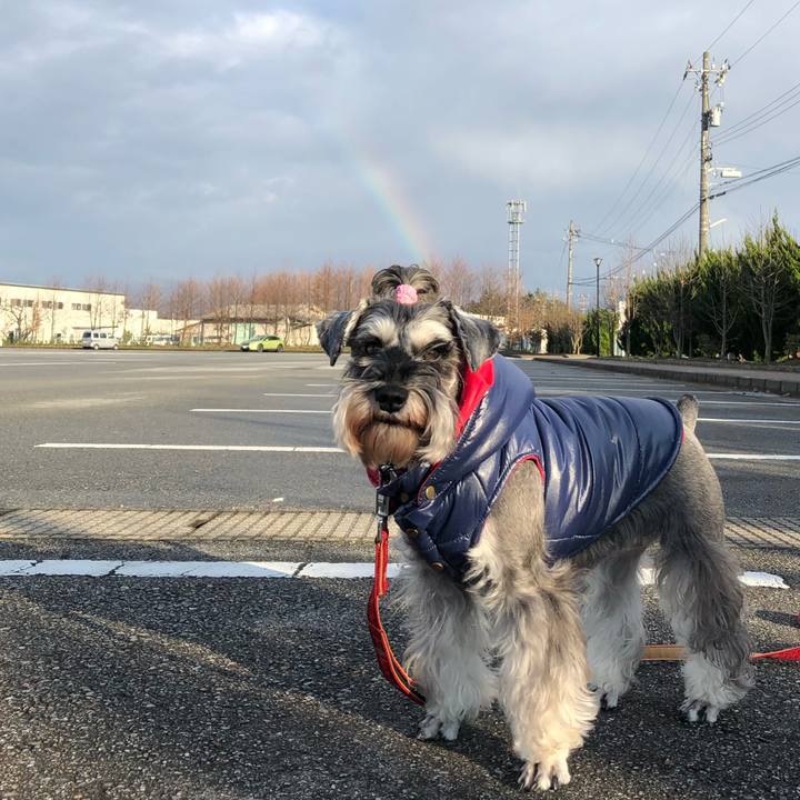 F53b6f24 f575 4ead b726 82e85ec3c7e5 1577972316336