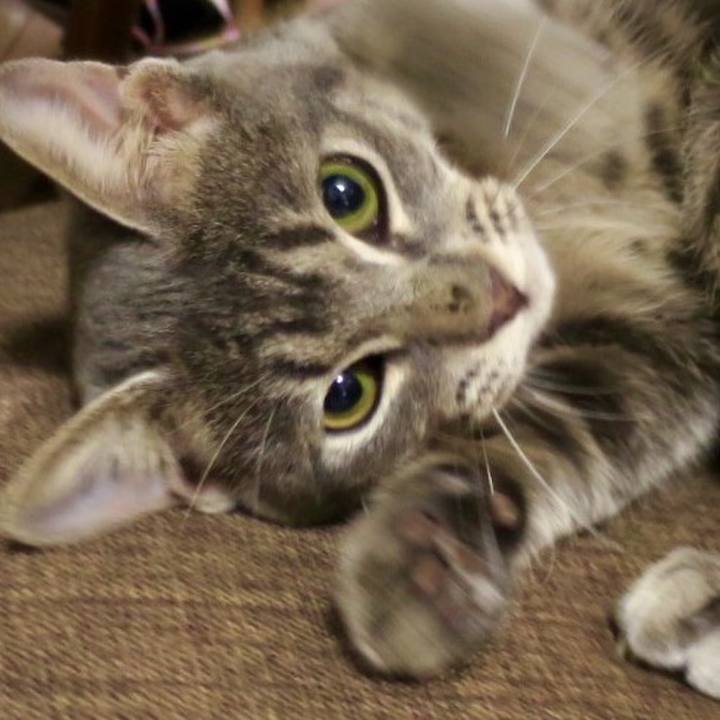 F53ba30c feb1 4d36 9eab 76dde1ab47be 1543061761882