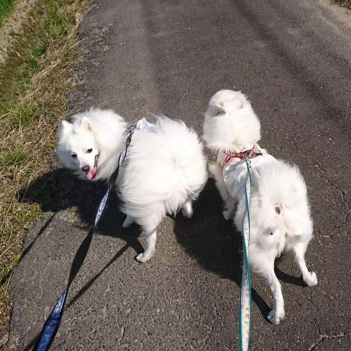 F53bf4a8 12b5 4713 a81d be387c2c39ae 1615378112082