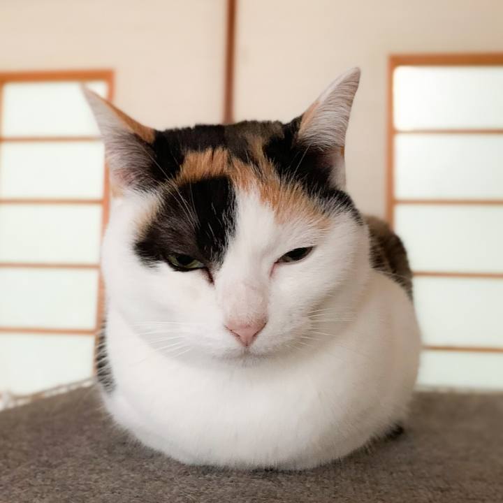 F53c060f 86cb 4a3d ab7f 2c840f61d0c1 1580780710560