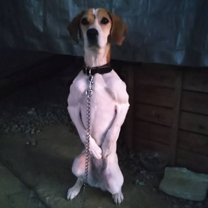 F53c0f39 610b 4f24 8ae7 c3bae0778900 1646567751610