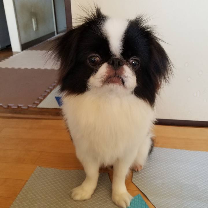 F53c1b3a 2a5e 4930 a824 6f266e5bb7e2 1642324175171