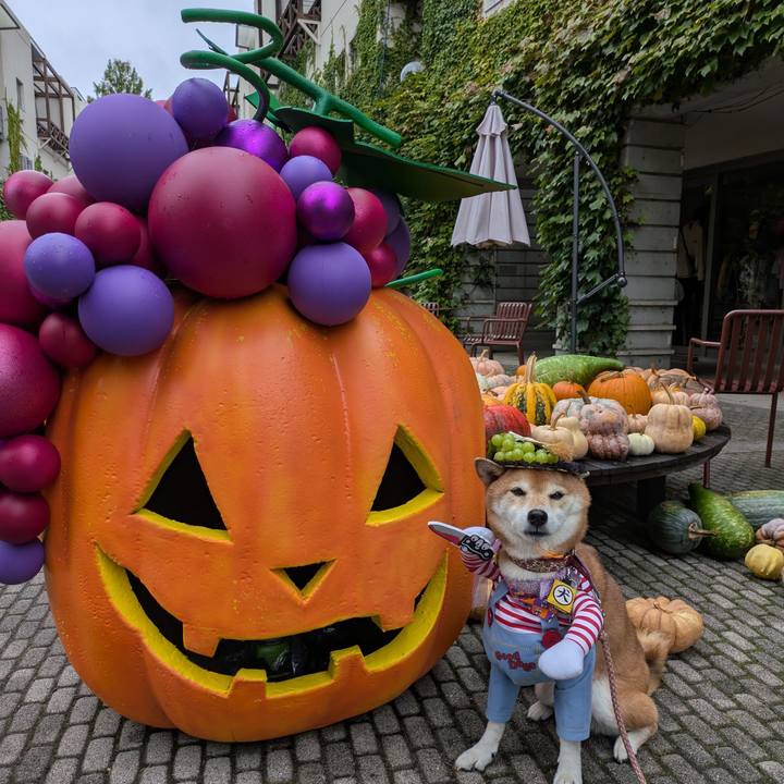 F53c38ec 99cd 493c a00c ec593f10339c 1759720536818