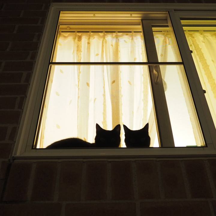 F53c3ecf a224 4ce9 9e38 1b495e9b39df 1540943705091