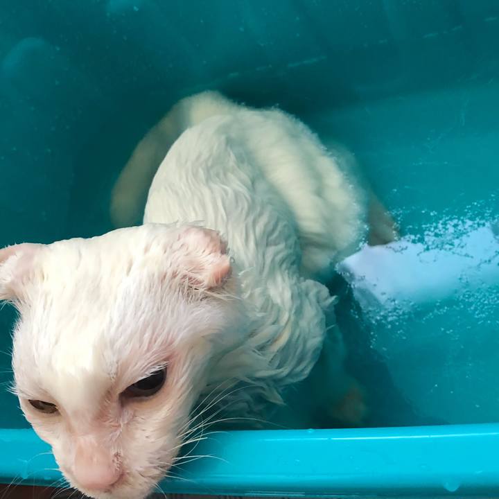 F53c3fe2 40f5 430c b0bd b4f0db19df3e 1538870485683