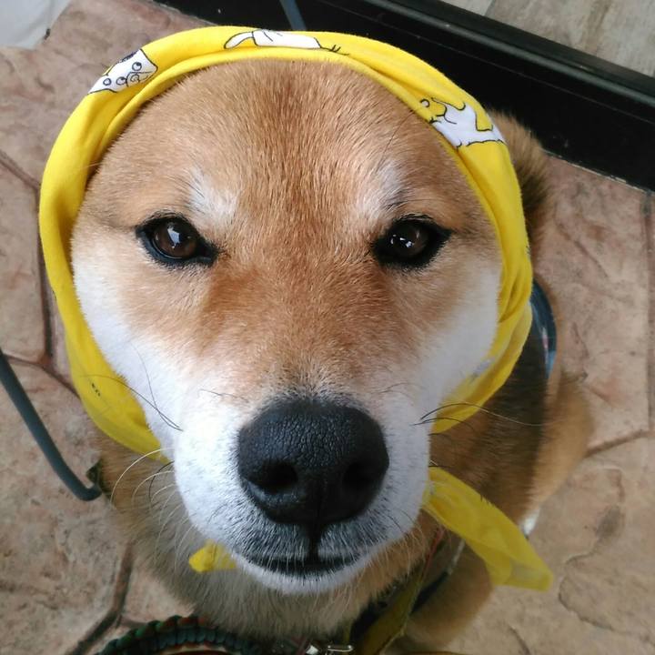 F53c41f7 ca3d 412c 8bfa 901fbb8c9663 1523797179831