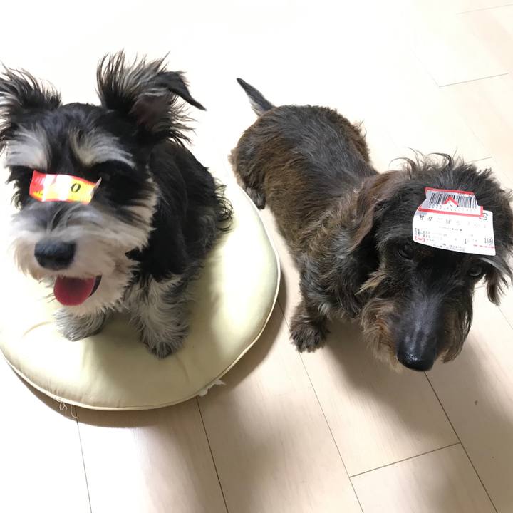 F53c626a 4c32 48a9 81cc 627e604800c5 1555076026411