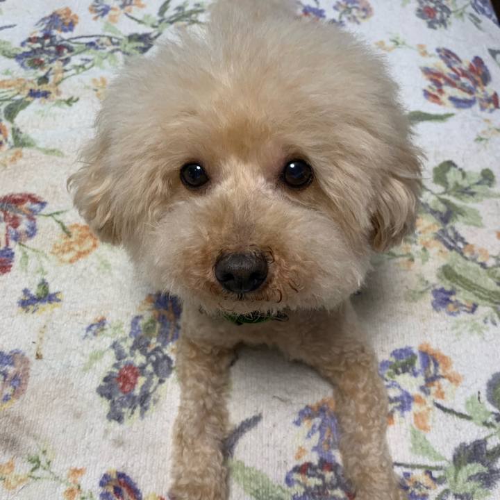 F53ca4b8 6051 4a91 ab8e 530204b8a548 1561248917172