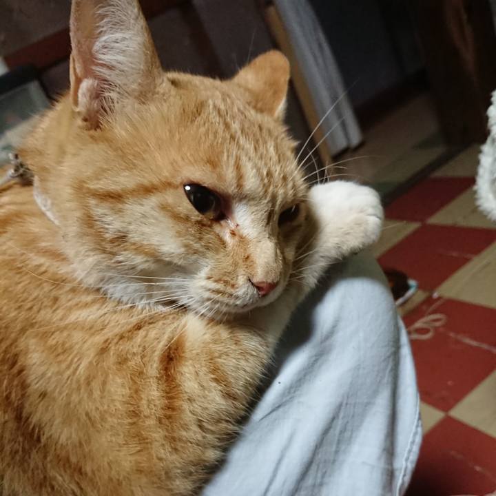 F53caa32 be9e 4f46 a70d 0c482448a0df 1592076357707