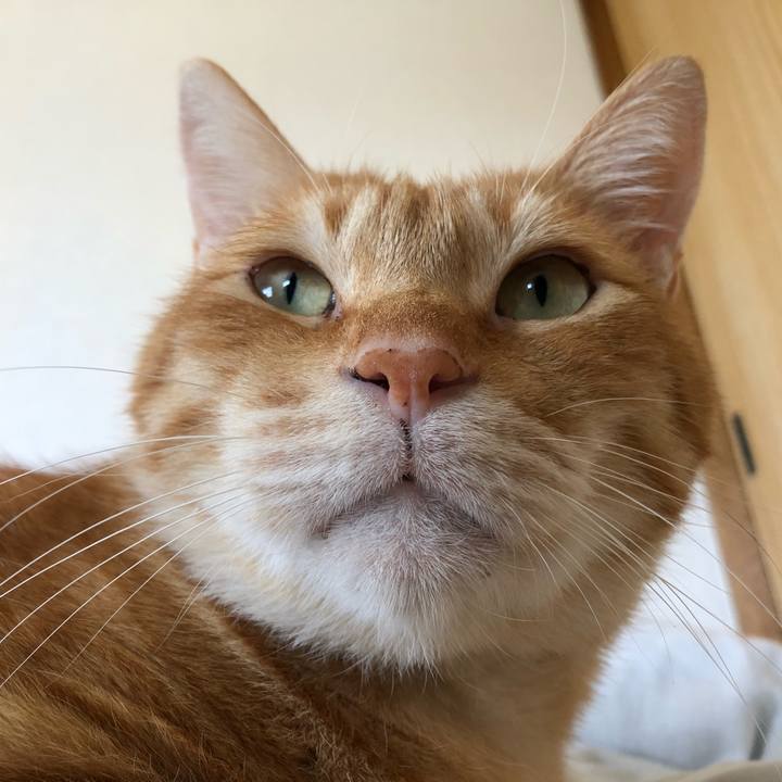 F53cbc0b 6e05 4893 8623 0a77bdb223ab 1602901080414