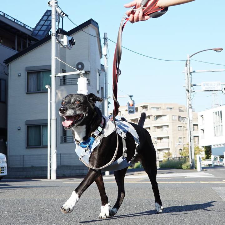 F53cbcb8 f65b 4793 a0f9 29eece2512be 1757203965732