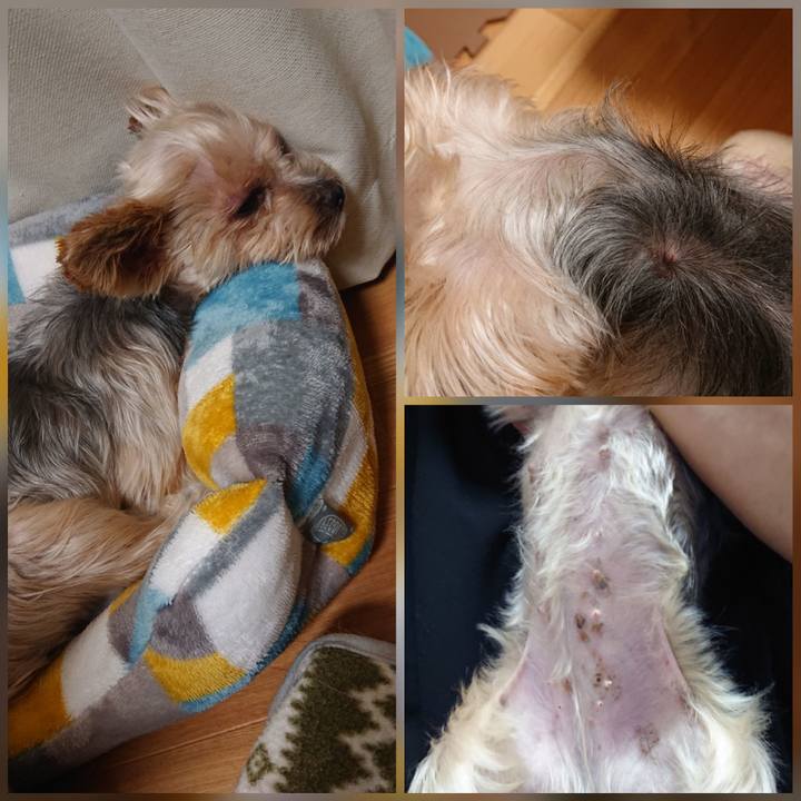 F53cc2d5 f10f 4657 9ecb bfb77a71bc67 1602418609015