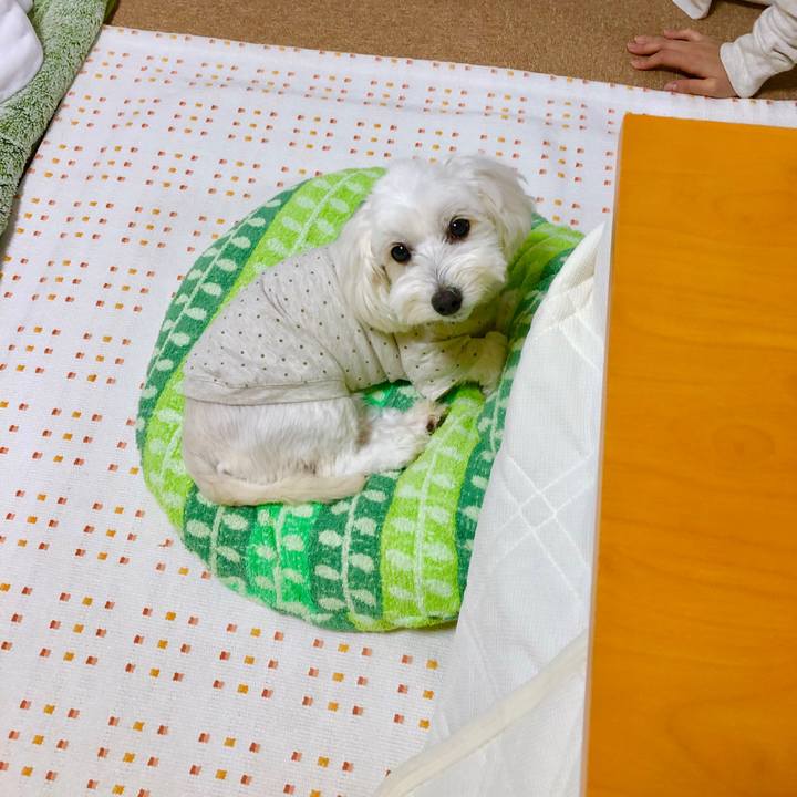 F53ce2d1 8de3 4c9b 83b8 dbfdf51b5f95 1560679799930