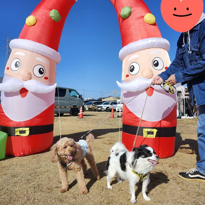 F53d1898 dbb9 4ed3 b6fb 7e3a6f62af8a 1764484453124