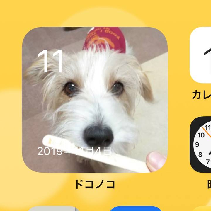 F53d5a60 0df1 432d b294 a34259b9e2df 1636583327342