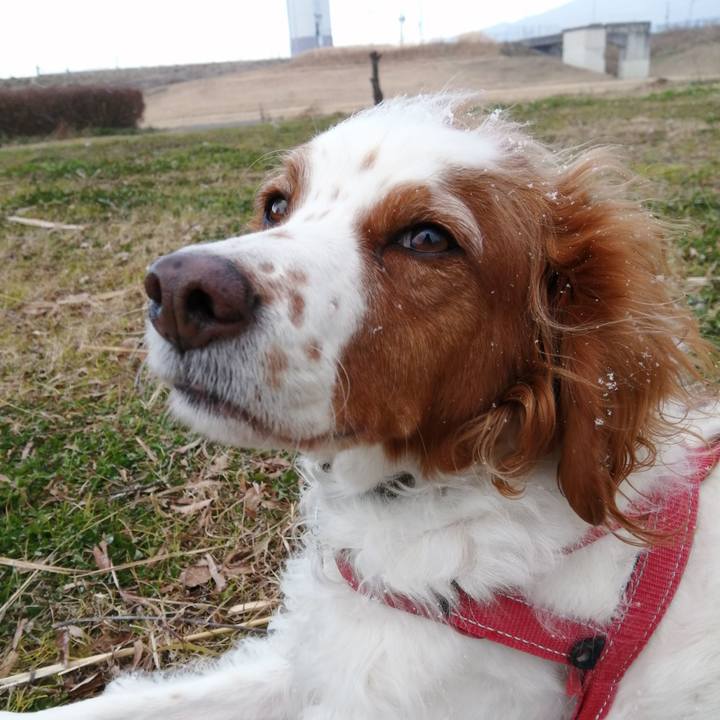 F53db8cd 0cd1 4db4 acf6 3275810ee741 1610105930114