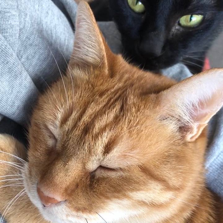 F53e0a98 353d 4f7a 9bfa 21131bd0d3fb 1672716597525