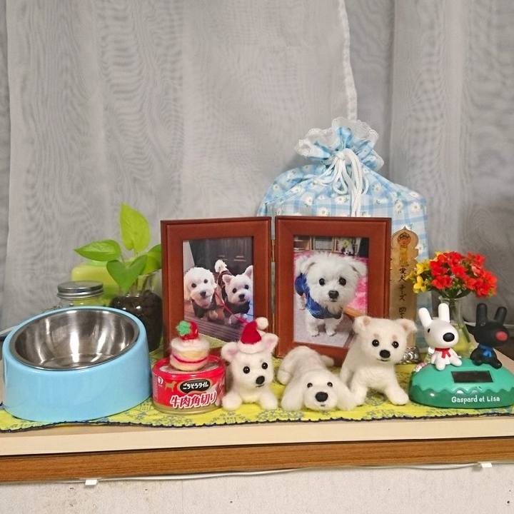 F53e19c1 06ec 4631 81e1 a0ed317dac5c 1512377097160