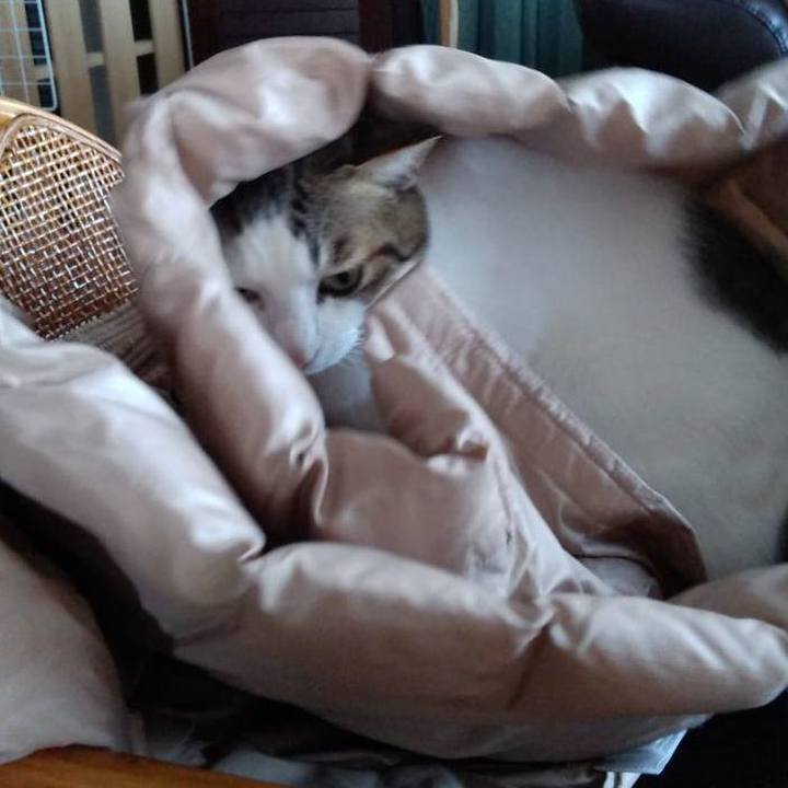 F53e2bc6 9aa1 45e6 85de f372b37bb1ac 1703237144774