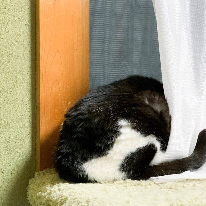 F53e4310 b997 407b 8cf3 83bd57356b48 1594605976548