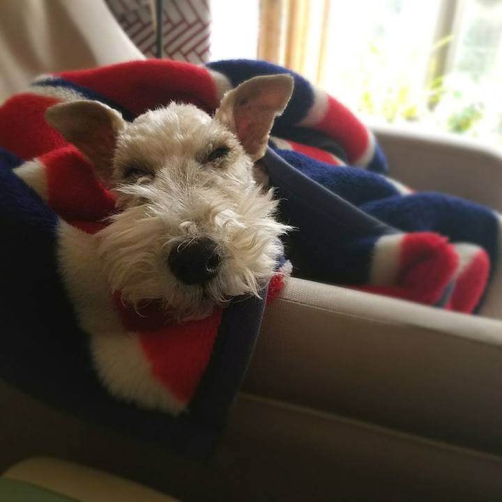 F53e4ac9 a638 4819 8e87 629836ab33c8 1517137945380