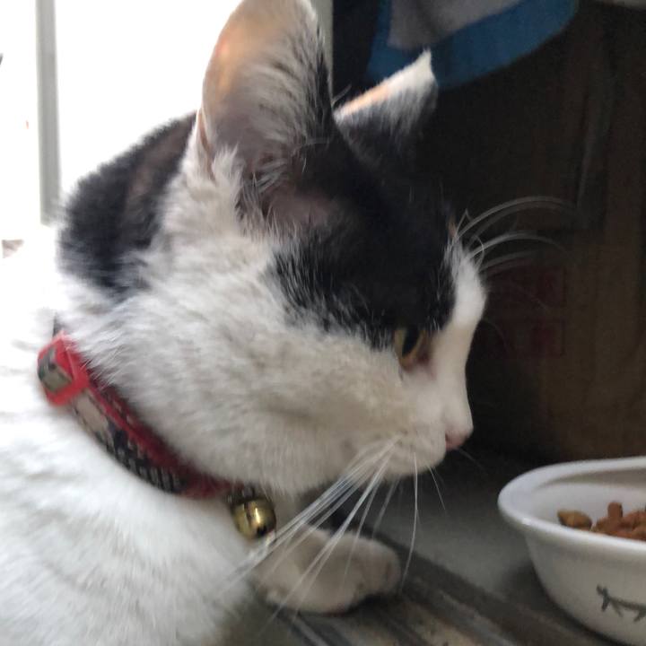 F53e9d34 49f4 4aca 8b13 5c59d310f26d 1612736537531