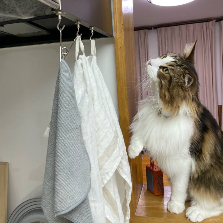 F53ea467 4397 47ae a9b0 ab02f99ab45c 1670528955234