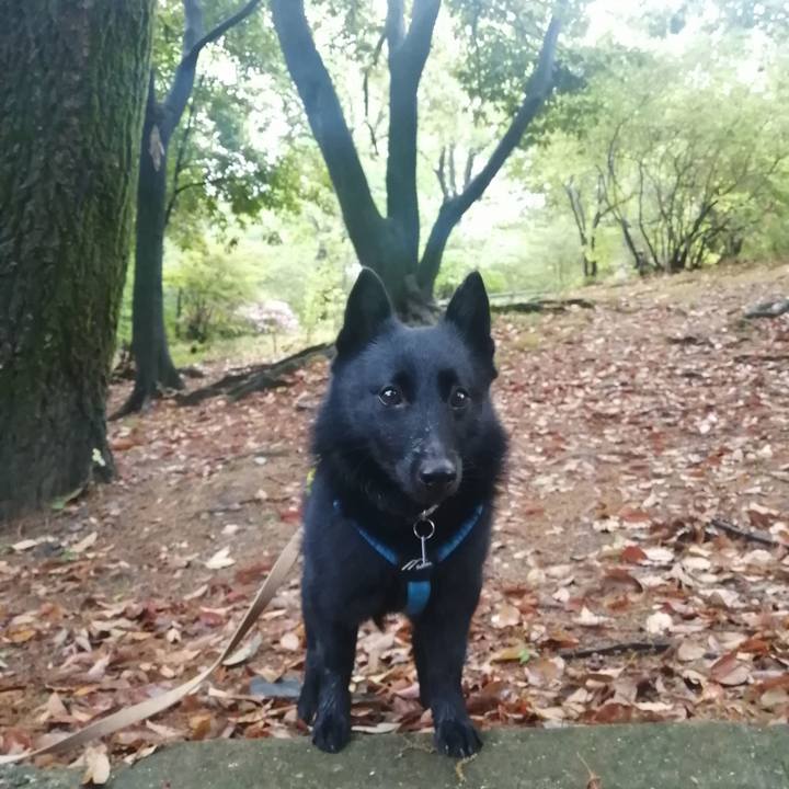 F53ebe15 5a84 4e25 a3ef 8db89865a619 1650835433562