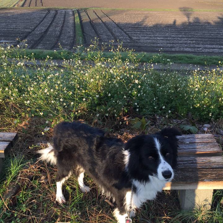 F53ee41b 6d0f 4eb8 bebf 64cf72e70666 1575069991718