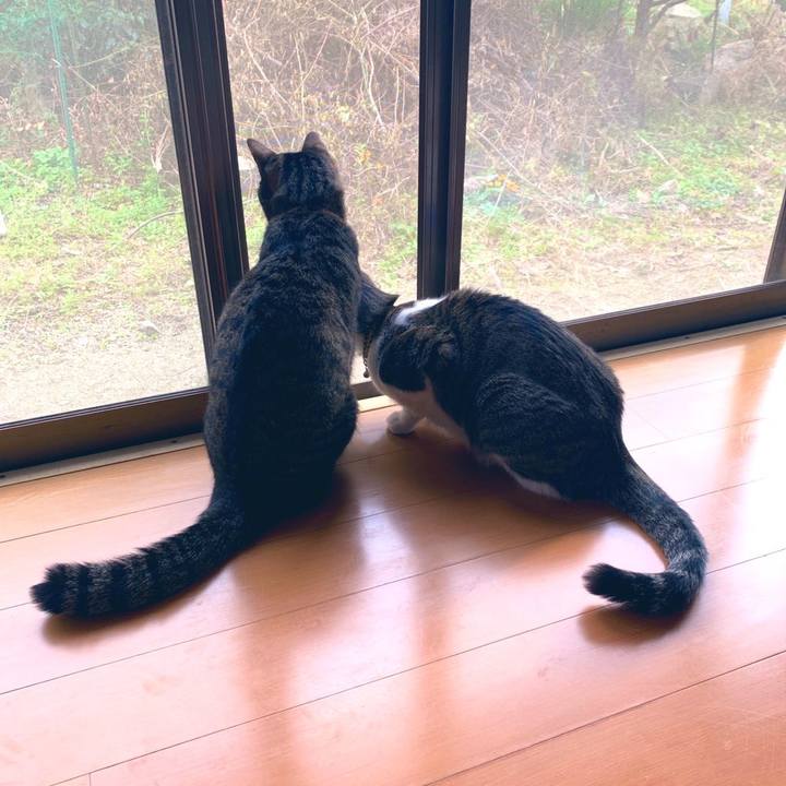 F53ee5b1 91cb 47f4 9808 8bb55fde29a4 1575980281591