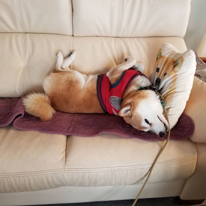 F53f0dc1 b7cf 4bad a162 601eca4ad7db 1609294273138