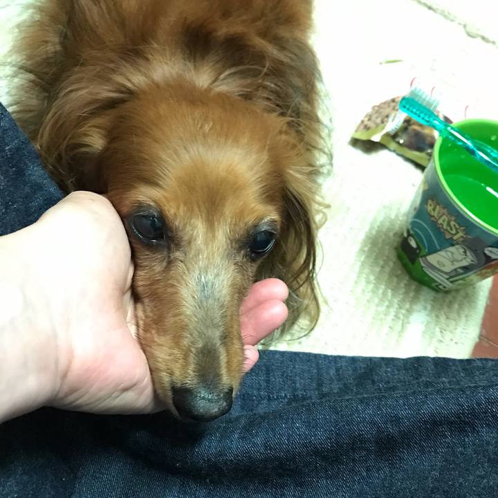 F53f340e 3082 40db ac29 b1cb04c1428e 1568721634439