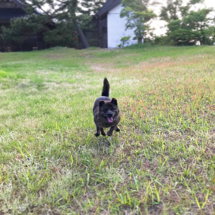 F53f9aad c2ca 4771 ac8f 99c2b9370ee7 1527253434306