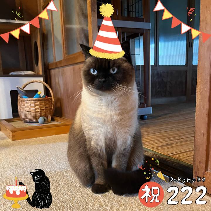 F53f9e82 496b 4f18 8a38 91411ee903ef 1645529189319