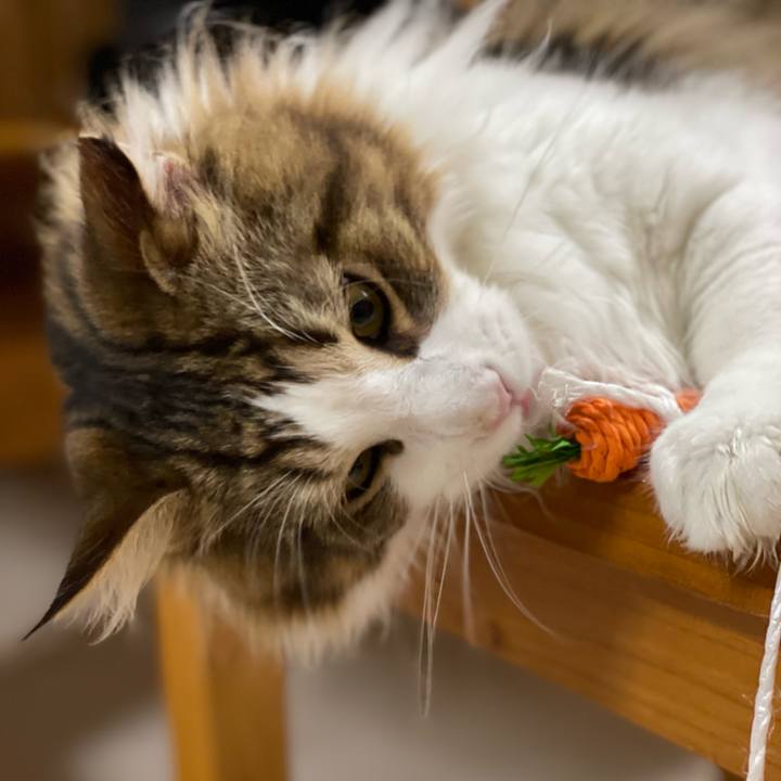 F53fcabf a392 41f6 babf 2c6f8b3d92cd 1650452152567