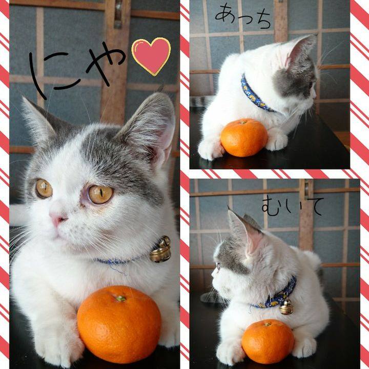 F53fe0bb acef 4c4f 82c0 122a7920d66f 1546989279656