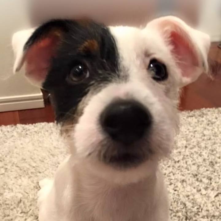 F53fe47c ab41 4f04 9f8b 5ccab632f551 1727186020594