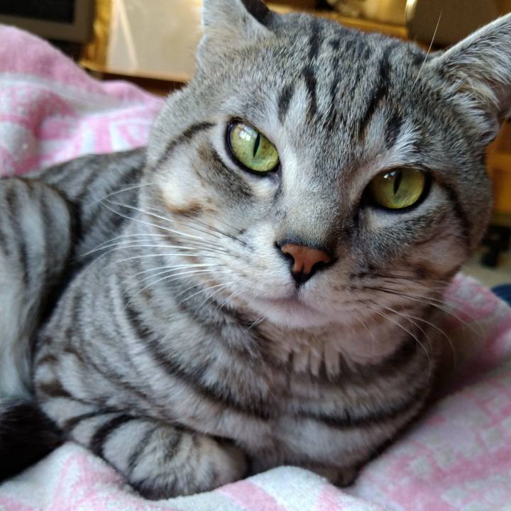 F53ff098 10d3 4c4c b741 f7de937304c7 1638790316305