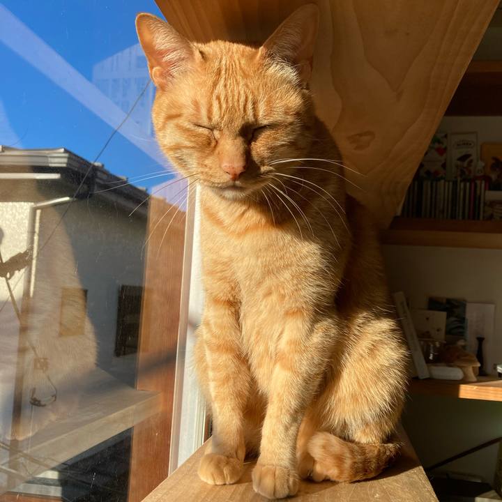 F5401ff3 5962 4472 9fd2 0cec36aeaef7 1672702176067