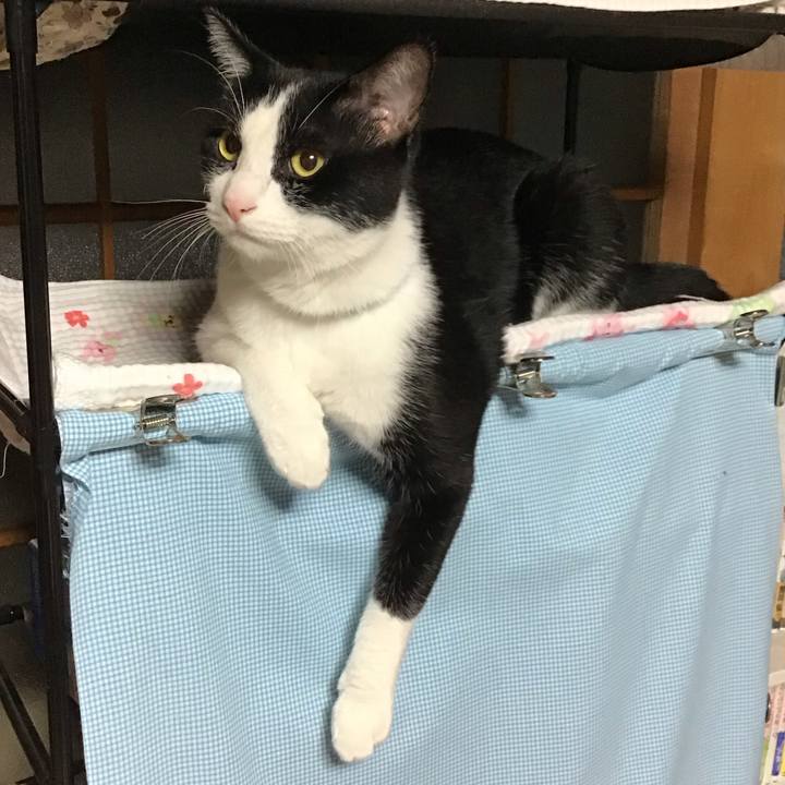 F5403646 d26c 4681 899f f65d62646026 1695474361150